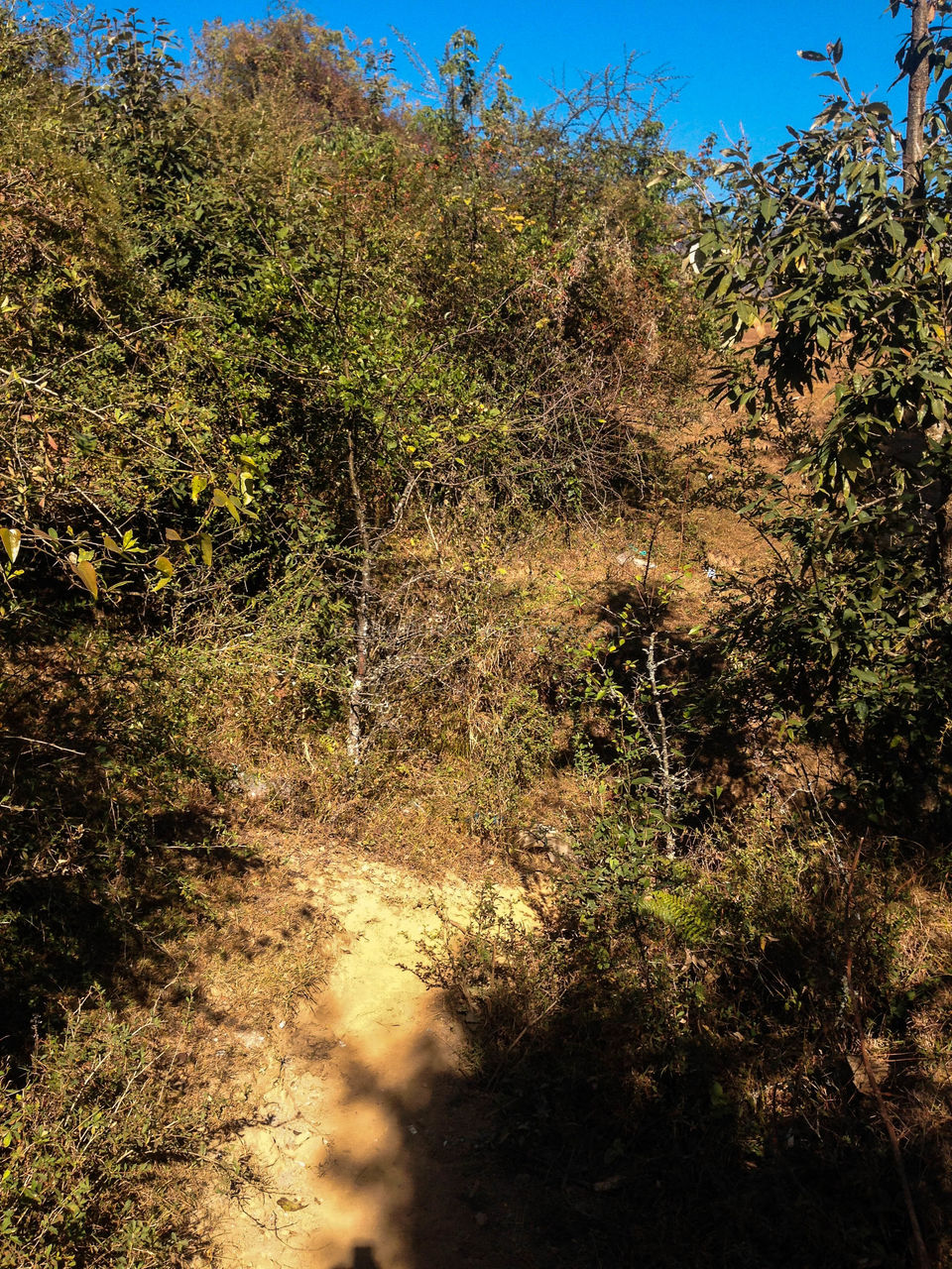Photo of Chakrata - A Hidden Gem and how demonetisation made my trip adventurous by Nidhi