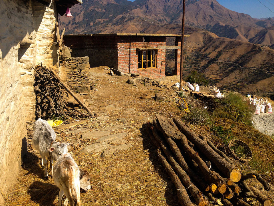 Photo of Chakrata - A Hidden Gem and how demonetisation made my trip adventurous by Nidhi