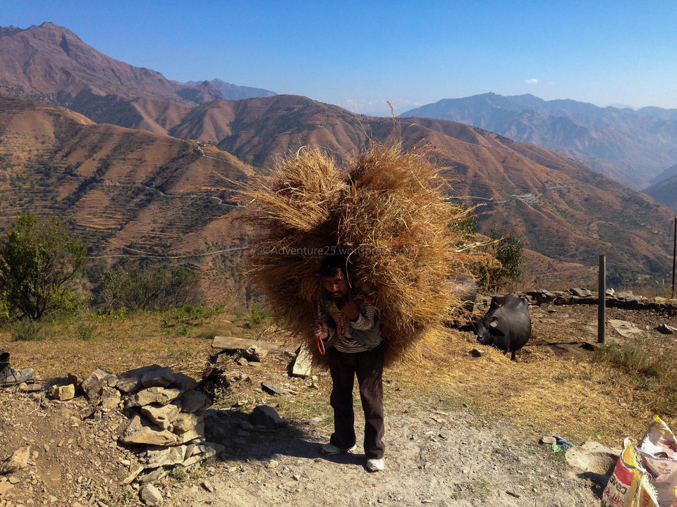 Photo of Chakrata - A Hidden Gem and how demonetisation made my trip adventurous by Nidhi