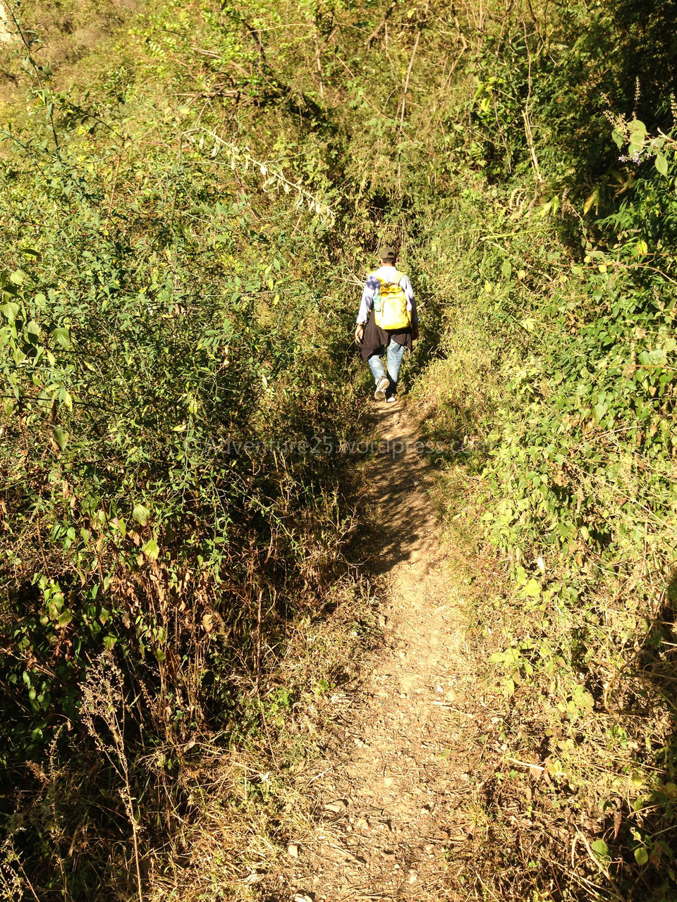Photo of Chakrata - A Hidden Gem and how demonetisation made my trip adventurous by Nidhi