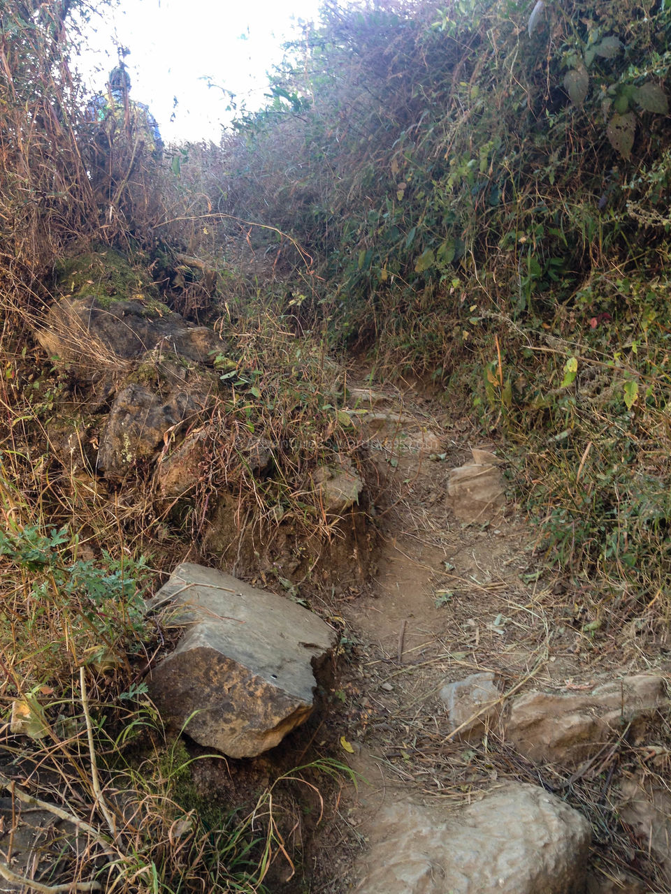 Photo of Chakrata - A Hidden Gem and how demonetisation made my trip adventurous by Nidhi