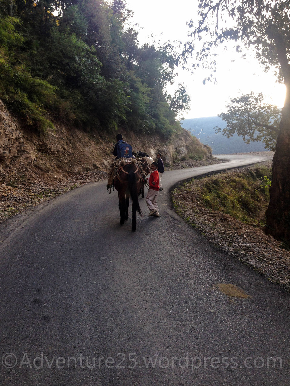 Photo of Chakrata - A Hidden Gem and how demonetisation made my trip adventurous by Nidhi