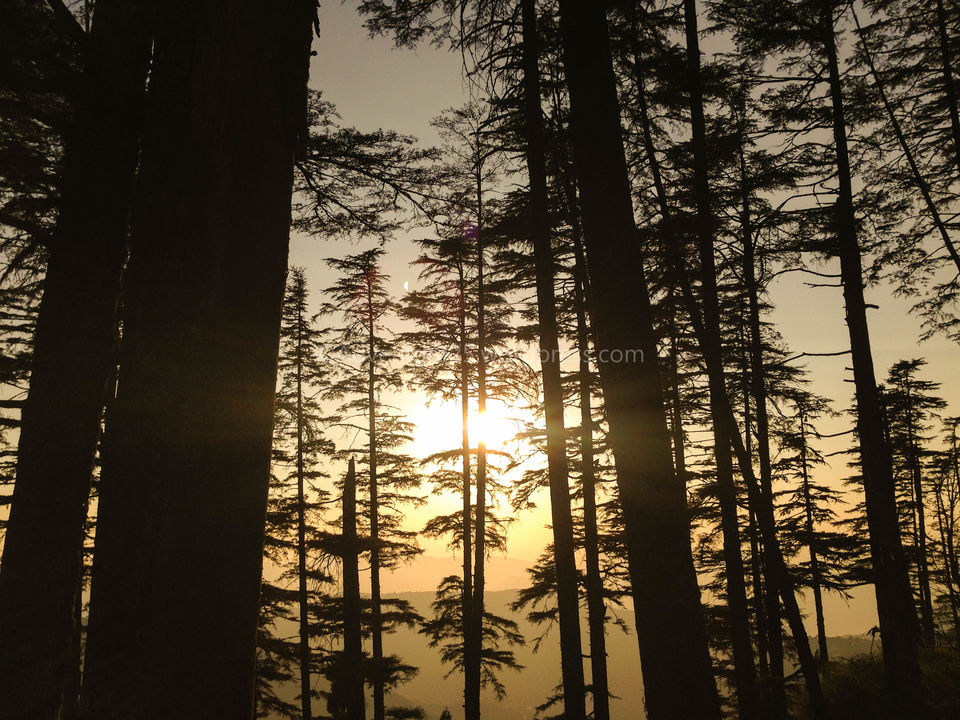 Photo of Chakrata - A Hidden Gem and how demonetisation made my trip adventurous by Nidhi