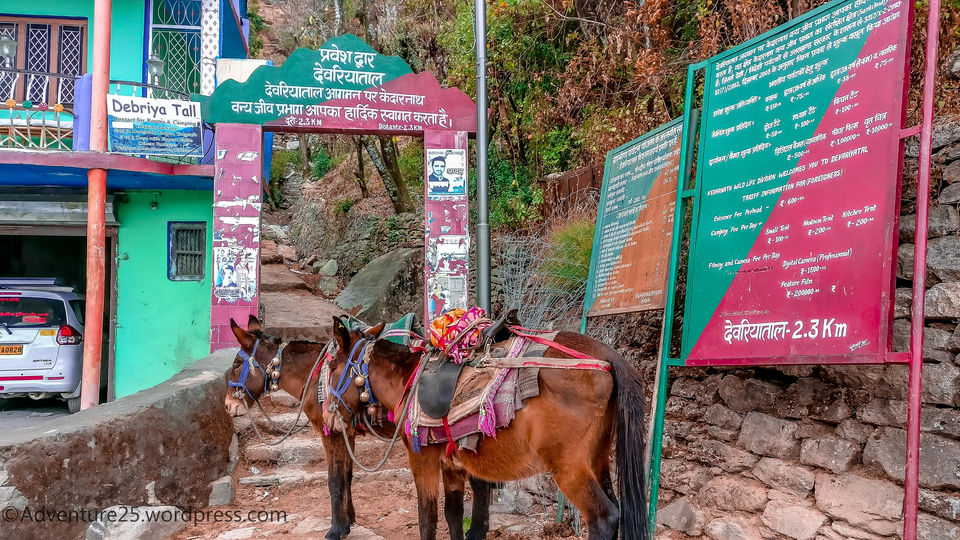 Photo of Ukhimath, Uttarakhand, India by Nidhi