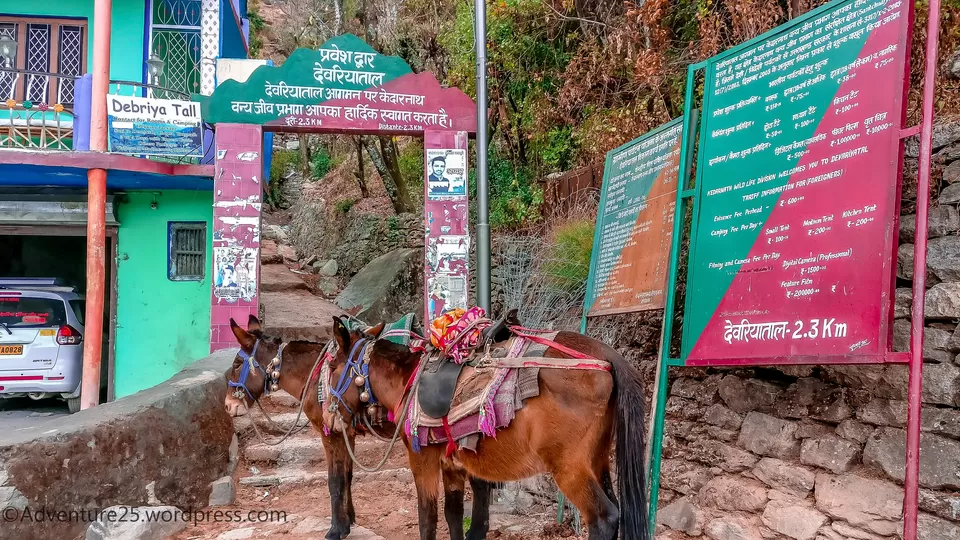 Photo of Ukhimath, Uttarakhand, India by Nidhi