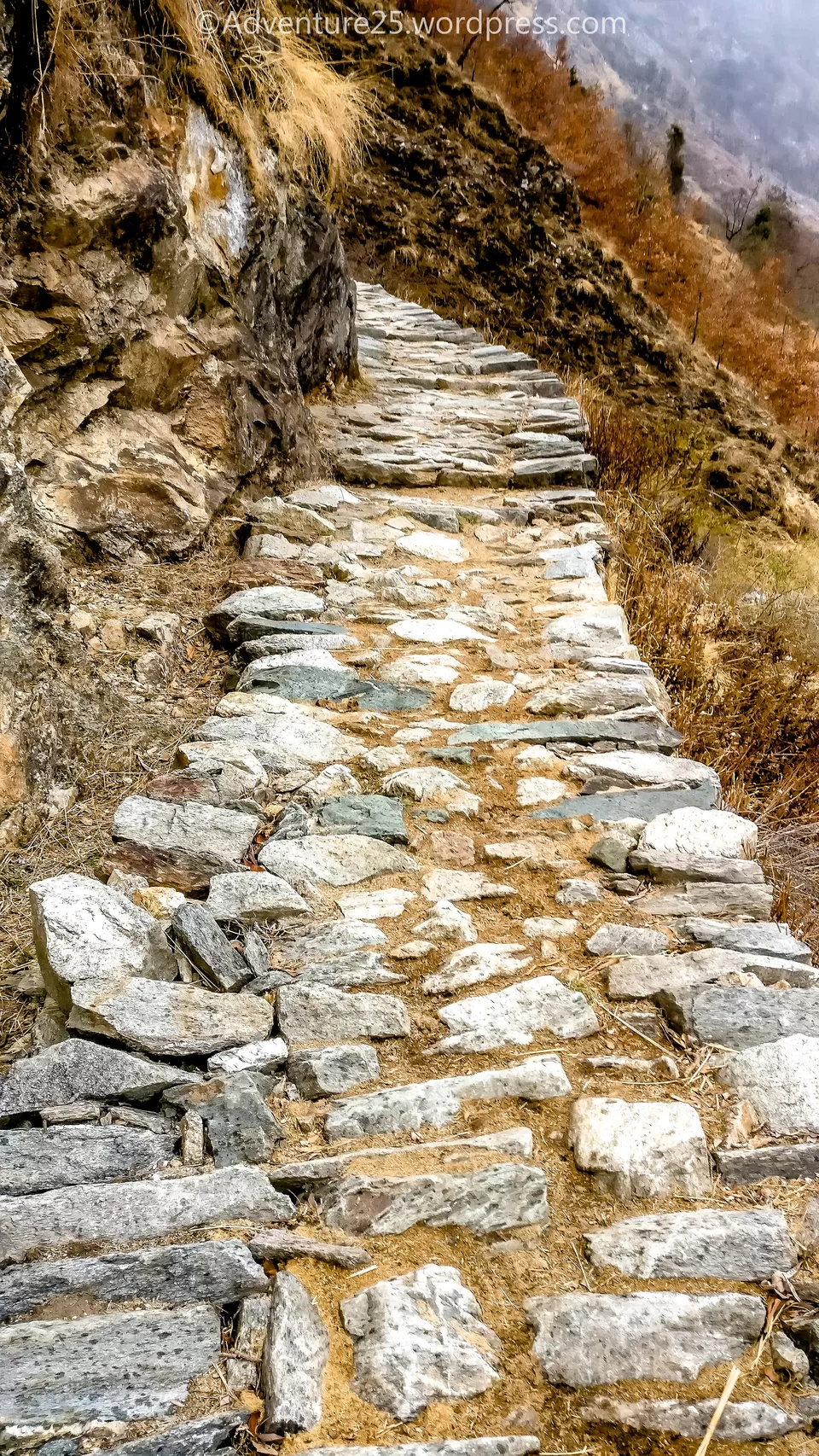 Photo of Ukhimath, Uttarakhand, India by Nidhi
