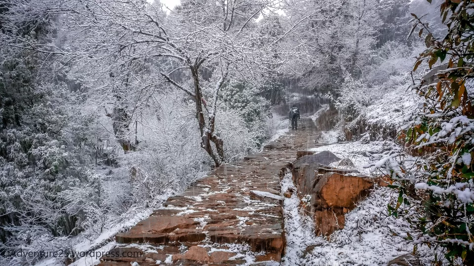 Photo of Deoriatal - My First Snow Trek by Nidhi