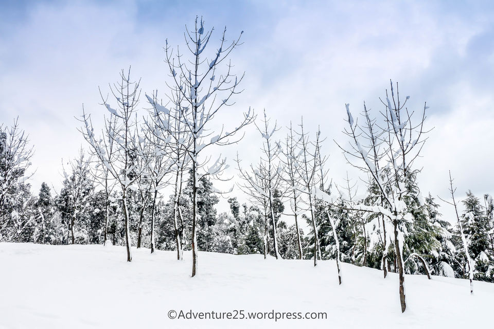 Photo of Deoria Tal, Rudraprayag, Uttarakhand, India by Nidhi