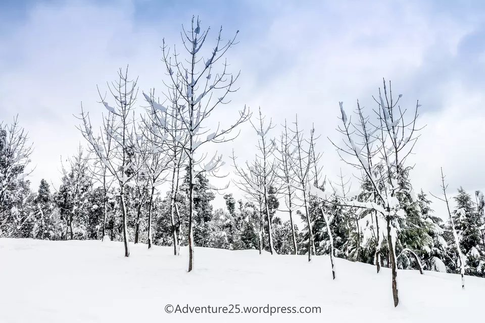 Photo of Deoria Tal, Rudraprayag, Uttarakhand, India by Nidhi