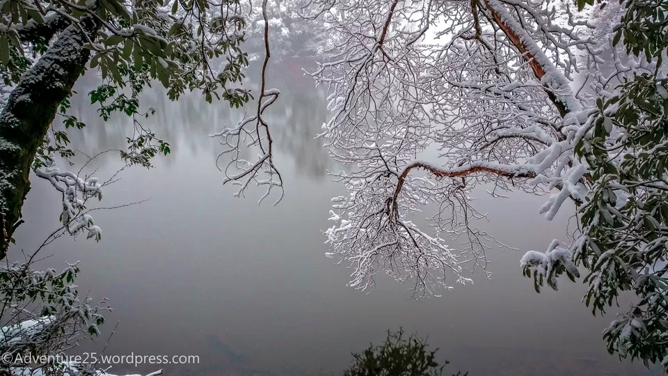 Photo of Deoria Tal, Rudraprayag, Uttarakhand, India by Nidhi