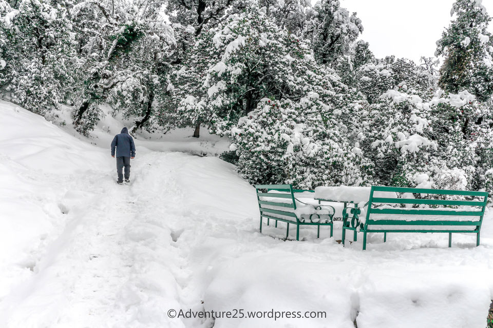 Photo of Deoriatal - My First Snow Trek by Nidhi