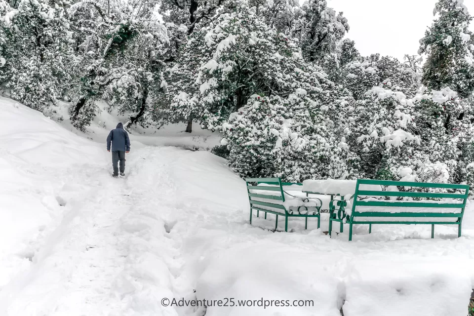 Photo of Deoriatal - My First Snow Trek by Nidhi