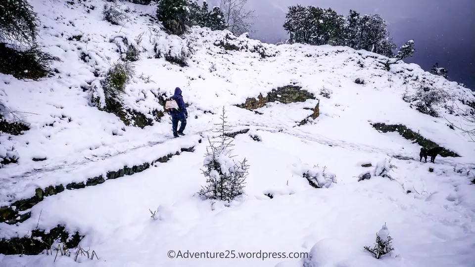 Photo of Deoriatal - My First Snow Trek by Nidhi
