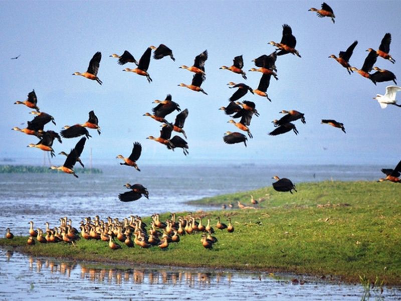 Photo of North East – A trip that is yet to happen: Solo but not alone #Wandermates by Ketan Khope