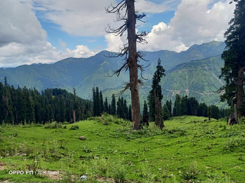 Photo of गुल्ली डंडा।।। प्राकृति का सौंदर्य by Wayfarer