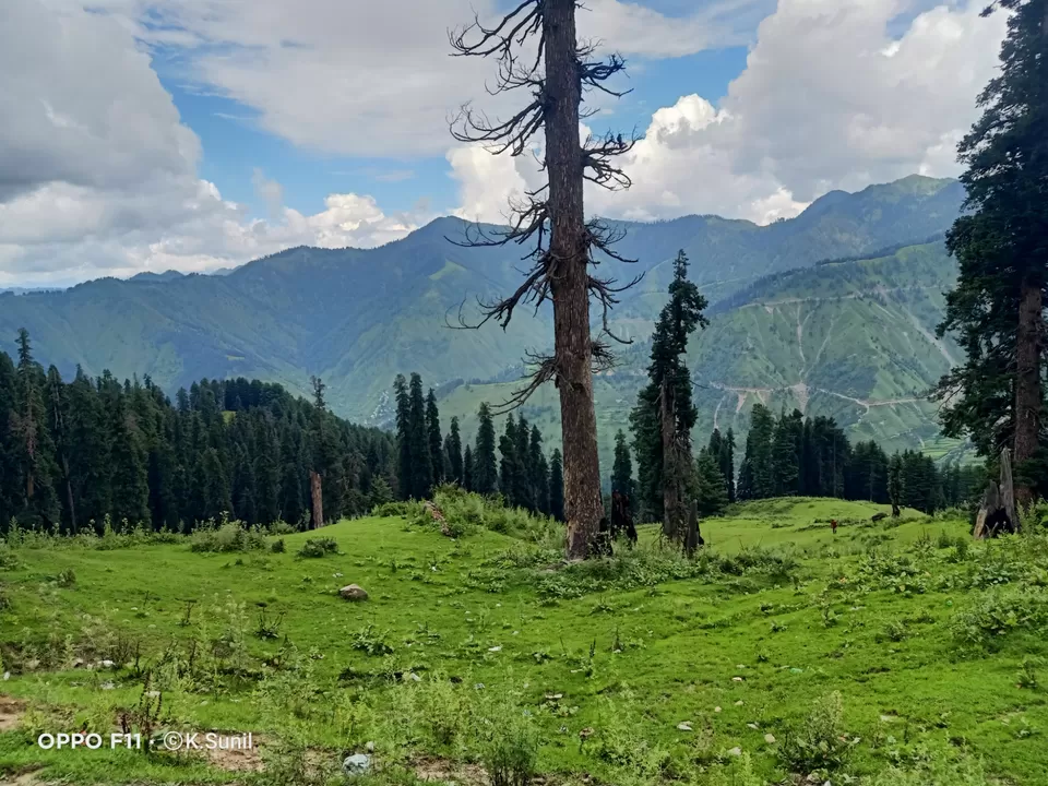 Photo of गुल्ली डंडा।।। प्राकृति का सौंदर्य by Wayfarer
