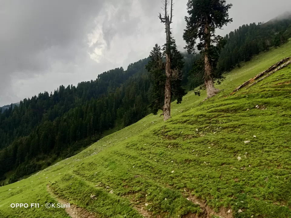 Photo of गुल्ली डंडा।।। प्राकृति का सौंदर्य by Wayfarer