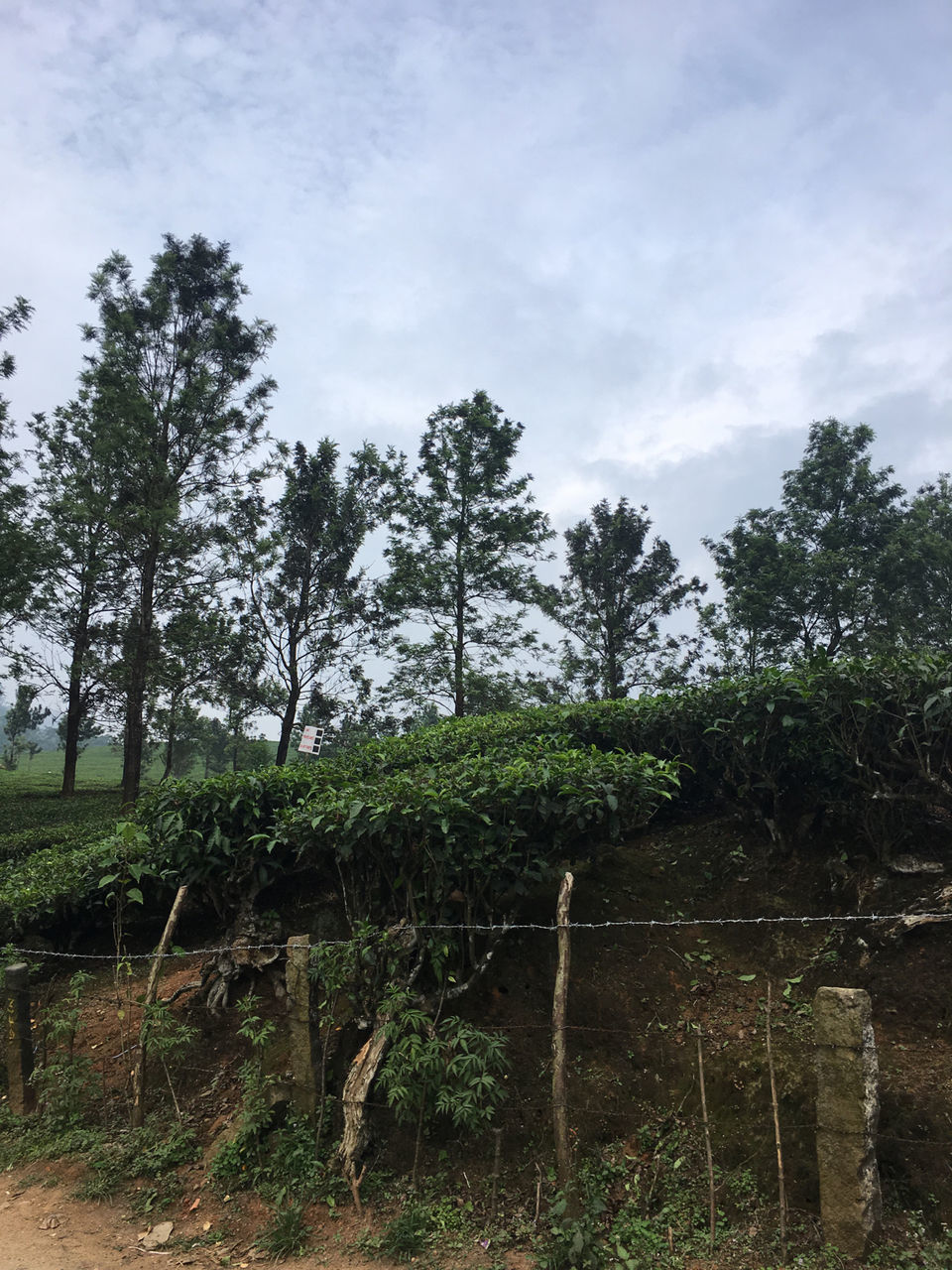 Photo of Amazing 7 days in Kerala including a cyclone!!! by Wati Lemtur Dohroo