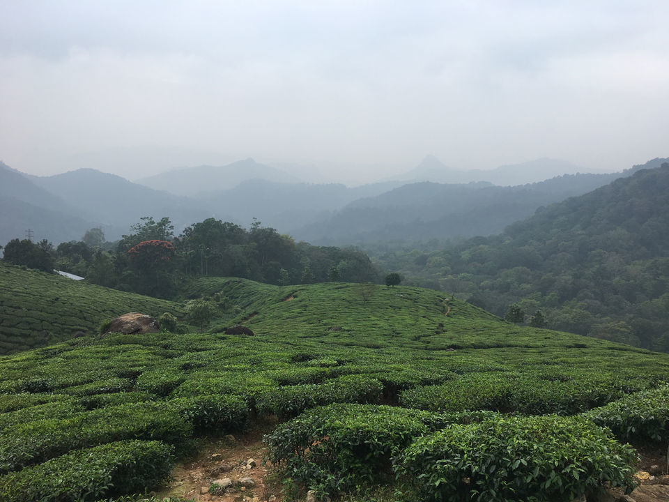 Photo of Amazing 7 days in Kerala including a cyclone!!! by Wati Lemtur Dohroo