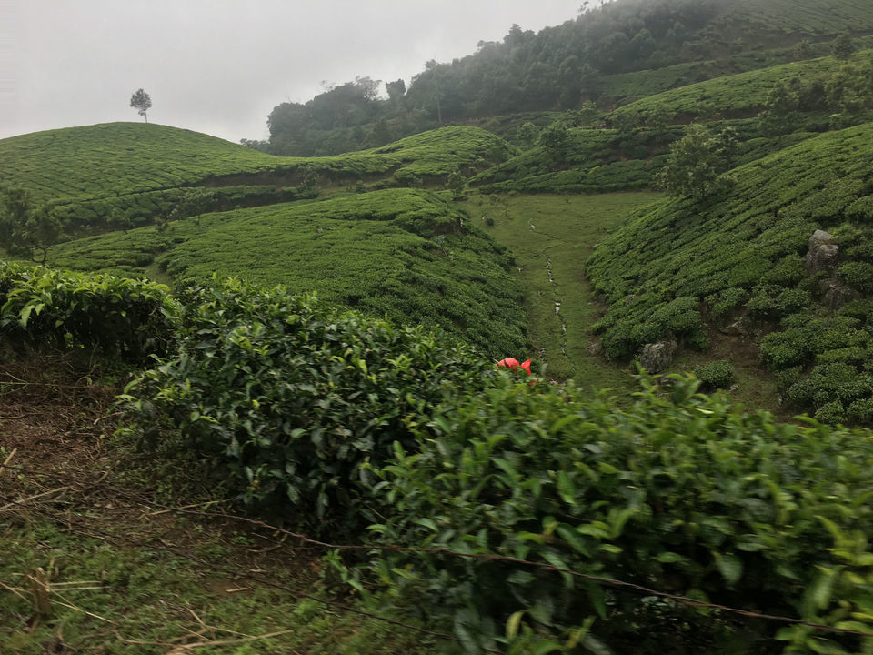 Photo of Amazing 7 days in Kerala including a cyclone!!! by Wati Lemtur Dohroo