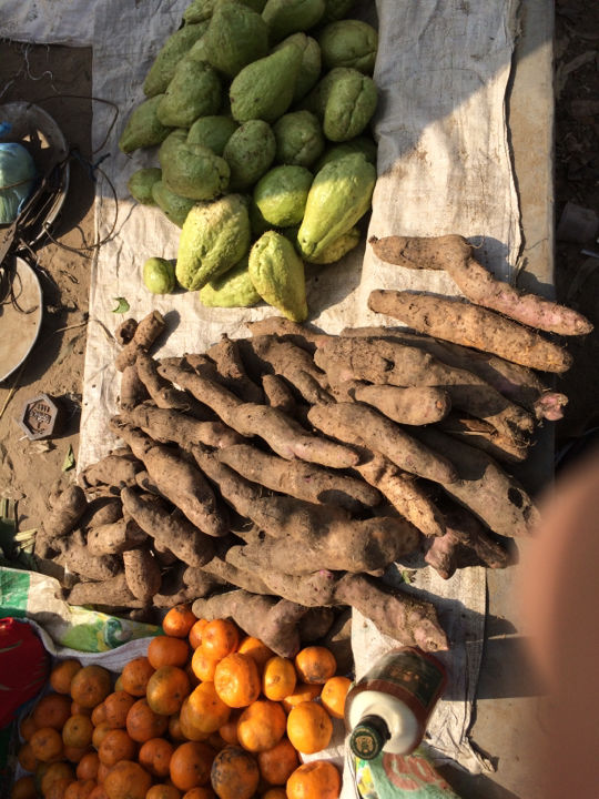 Photo of Dimapur – My Hometown 7/15 by Lemtur w..