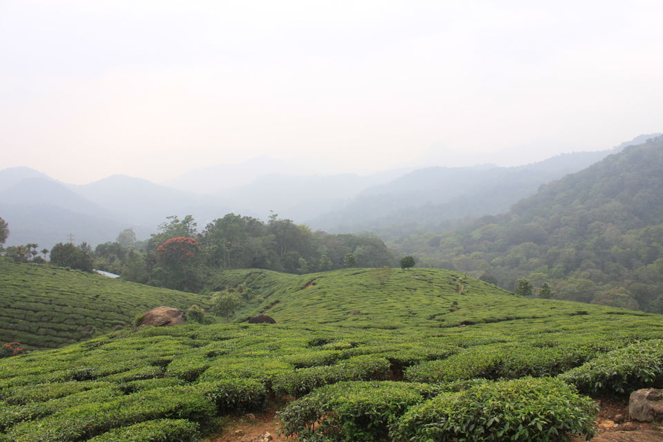 Photo of Amazing 7 days in Kerala including a cyclone!!! 4/14 by Wati Lemtur Dohroo