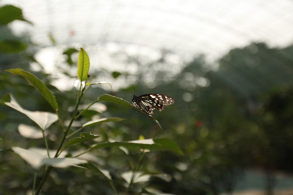 Photo of Ideal Travel Destination for Solo Women Travelers | Ramoji Film City 9/9 by Sobhana Satapathy
