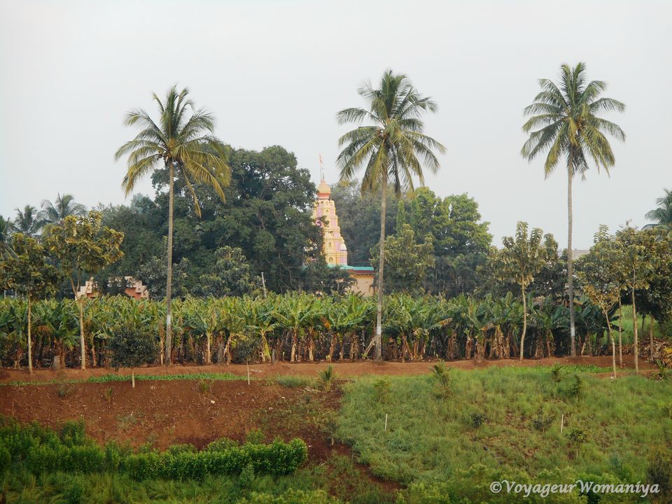 Photo of My Love Affair with Planet Earth, Since Age 10 11/28 by Mrunali Kulkarni
