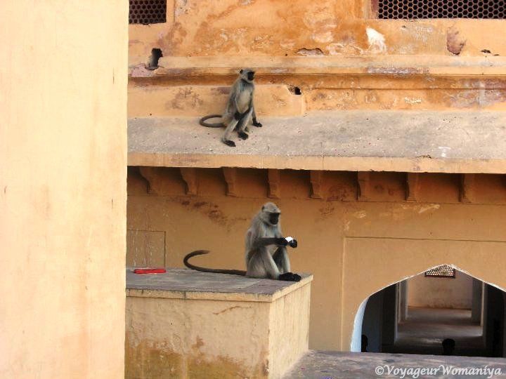 Photo of My Love Affair with Planet Earth, Since Age 10 12/28 by Mrunali Kulkarni
