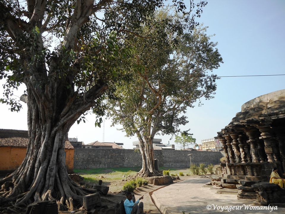 Photo of My Love Affair with Planet Earth, Since Age 10 15/28 by Mrunali Kulkarni
