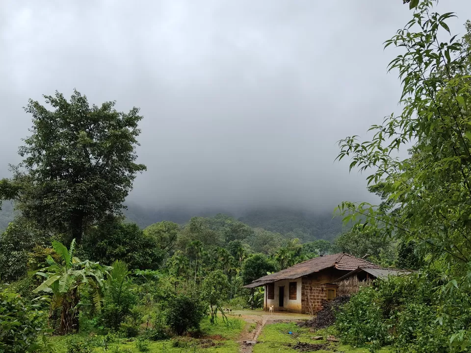 Photo of Kodachadri by Subhajit Dutta