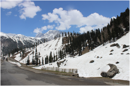 Photo of Kashmir - The contradiction 3/6 by Ruchika Srivastava