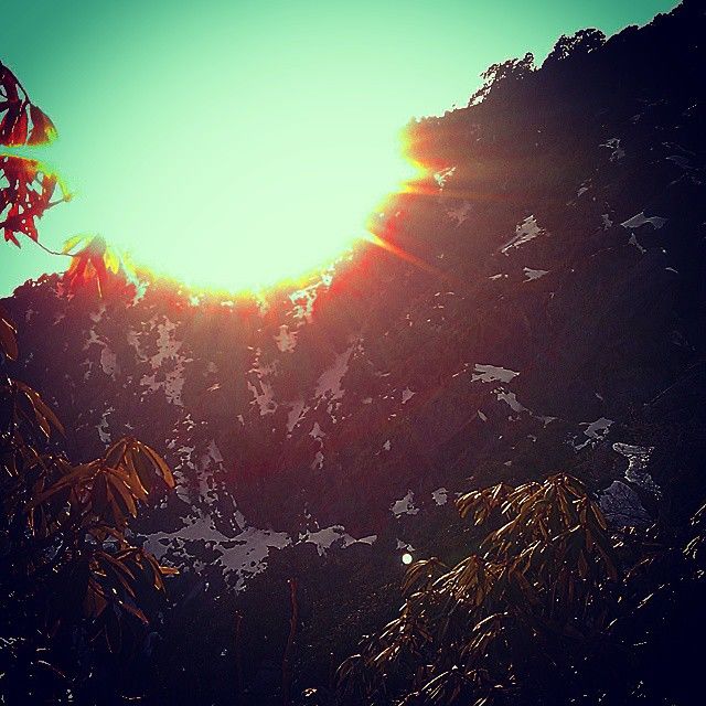 Photo of Death defying adventure to Triund 2/3 by Farish Chander