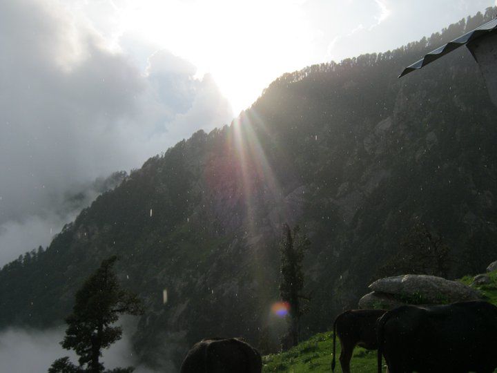 Photo of Triund Diaries 13/20 by Farish Chander