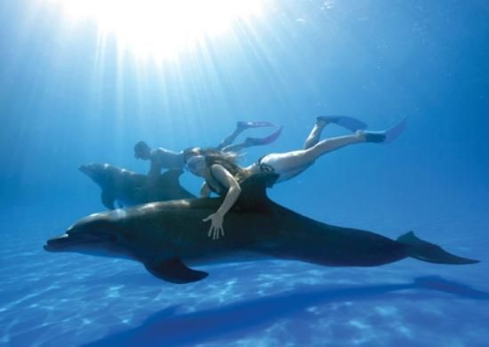 Photo of 11 Fantasies of a Traveller! 3/21 by Farish Chander