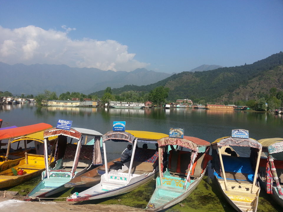 Photo of The Shikaras by Bhargavi K