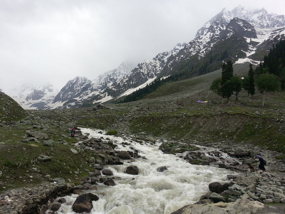 Photo of Thajiwas Glacier,Sonmarg by Bhargavi K