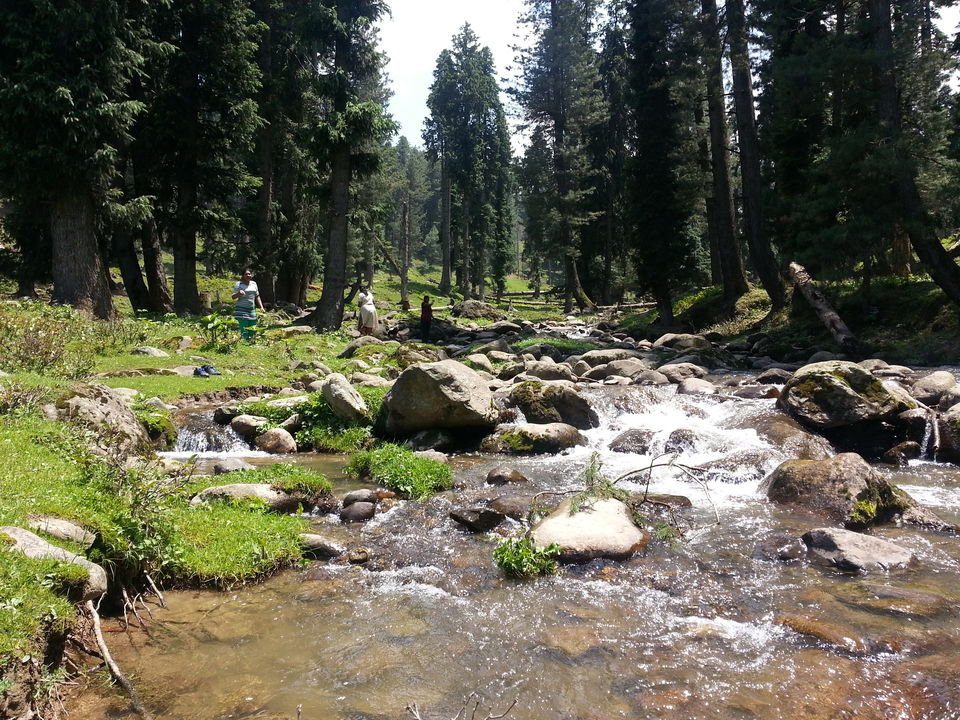 Photo of Yusmarg by Bhargavi K