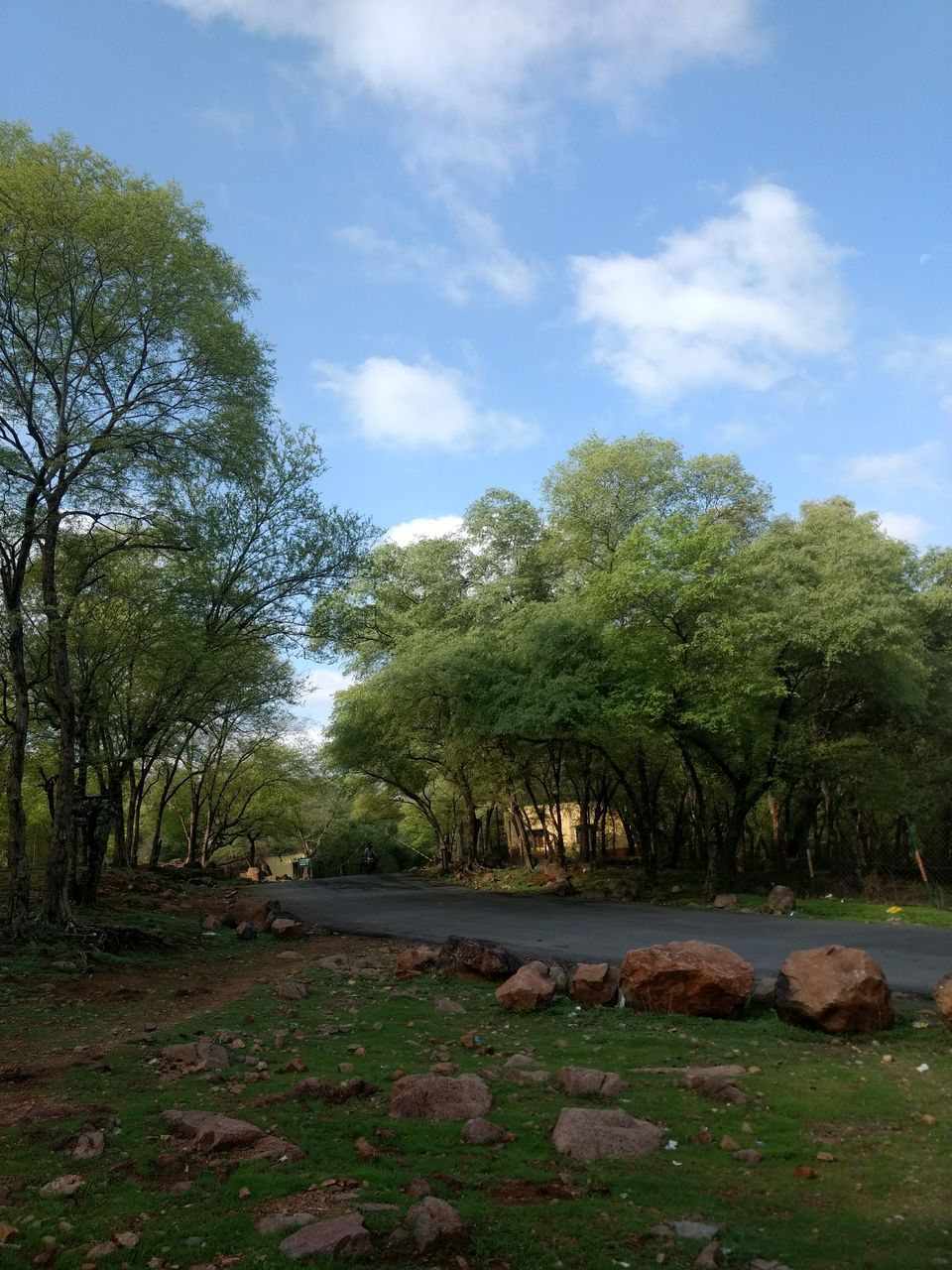 Photo of Your guide to explore the hidden secret of Madhya Pradesh - The village of Orchha 5/39 by Vijaya Nair