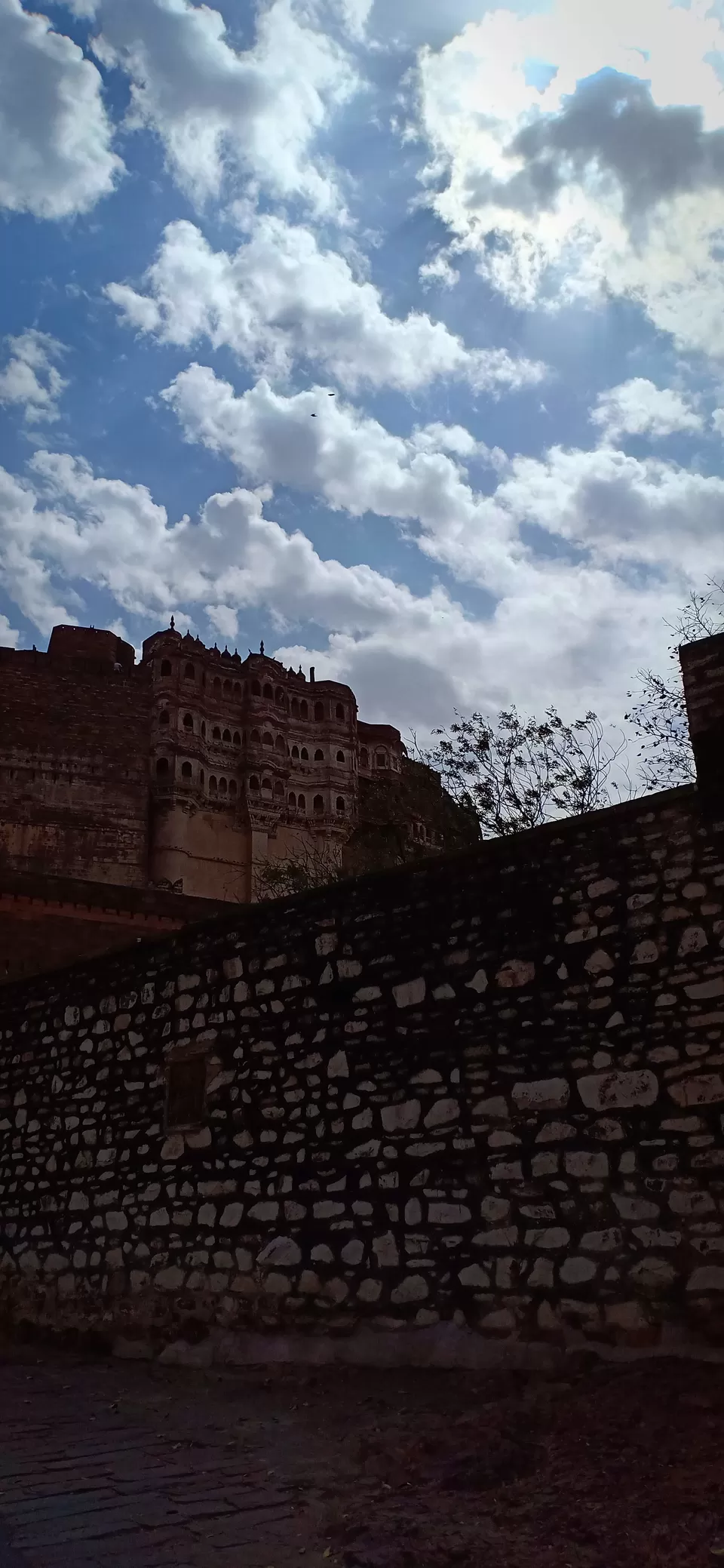 Photo of Mehrangarh Fort and Museum, Rajputana Rd, Paota, Jodhpur, Rajasthan, India by Vijaya Nair