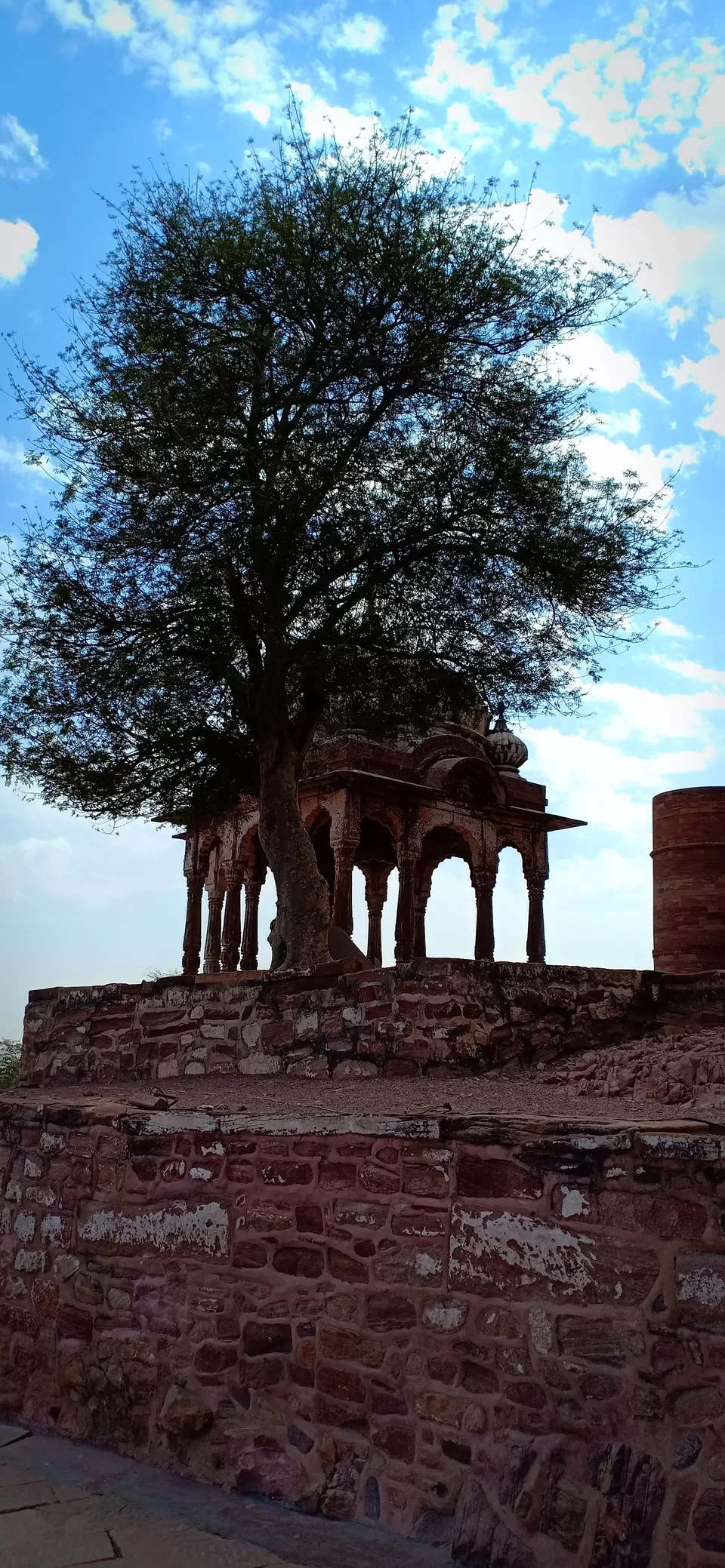 Photo of Mehrangarh Fort and Museum, Rajputana Rd, Paota, Jodhpur, Rajasthan, India by Vijaya Nair