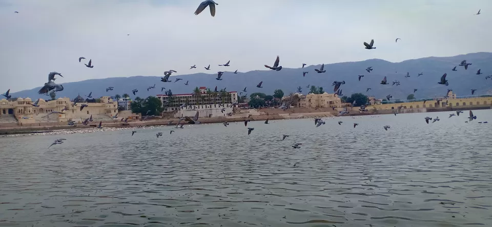 Photo of Pushkar: A spiritual and hippie mix by Vijaya Nair