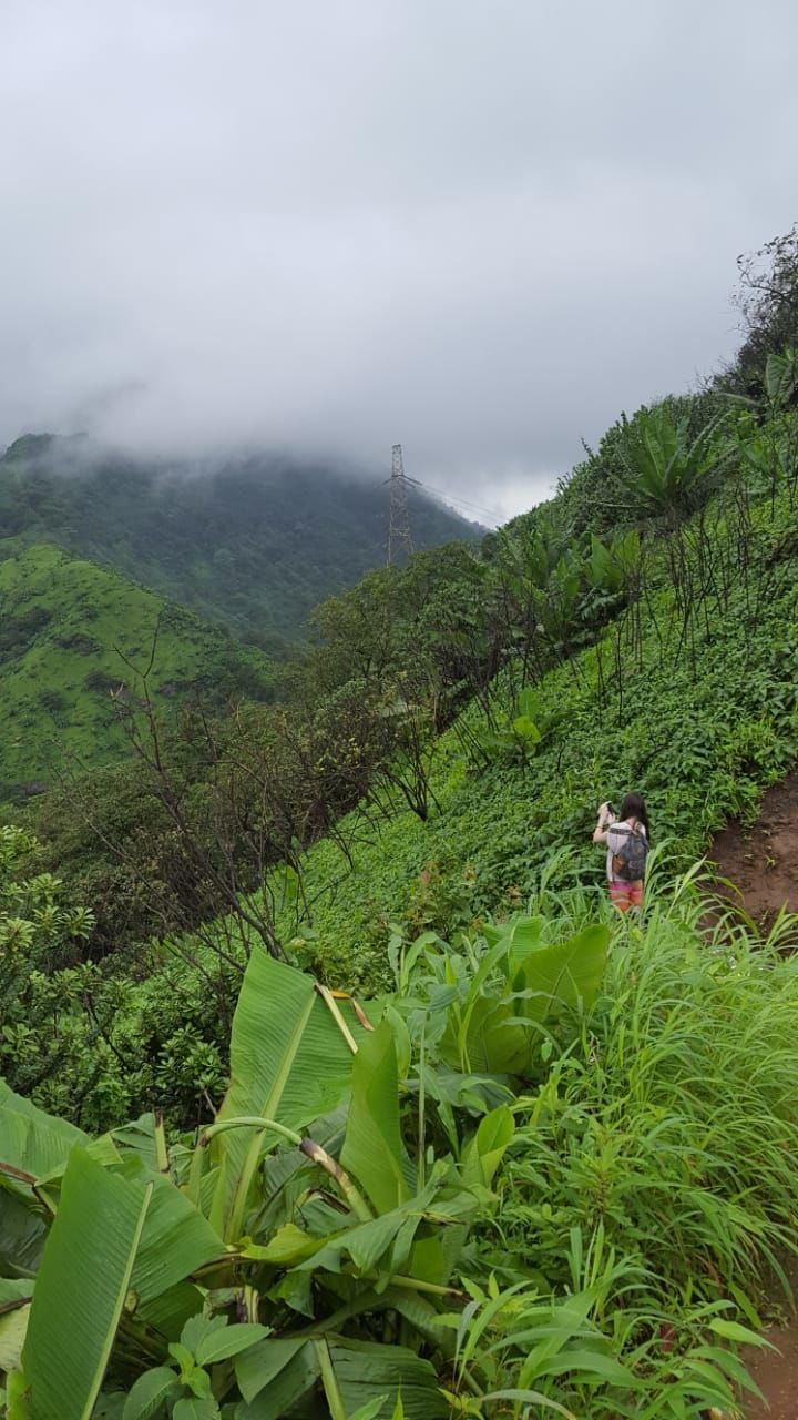 Photo of Wild Sunday trek to Peb Fort, Neral #MemoryLane 11/16 by Vijaya Nair