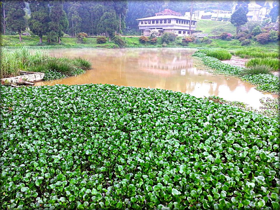 Photo of North-East Diaries (Part 1) 9/17 by Ishaani Sharma