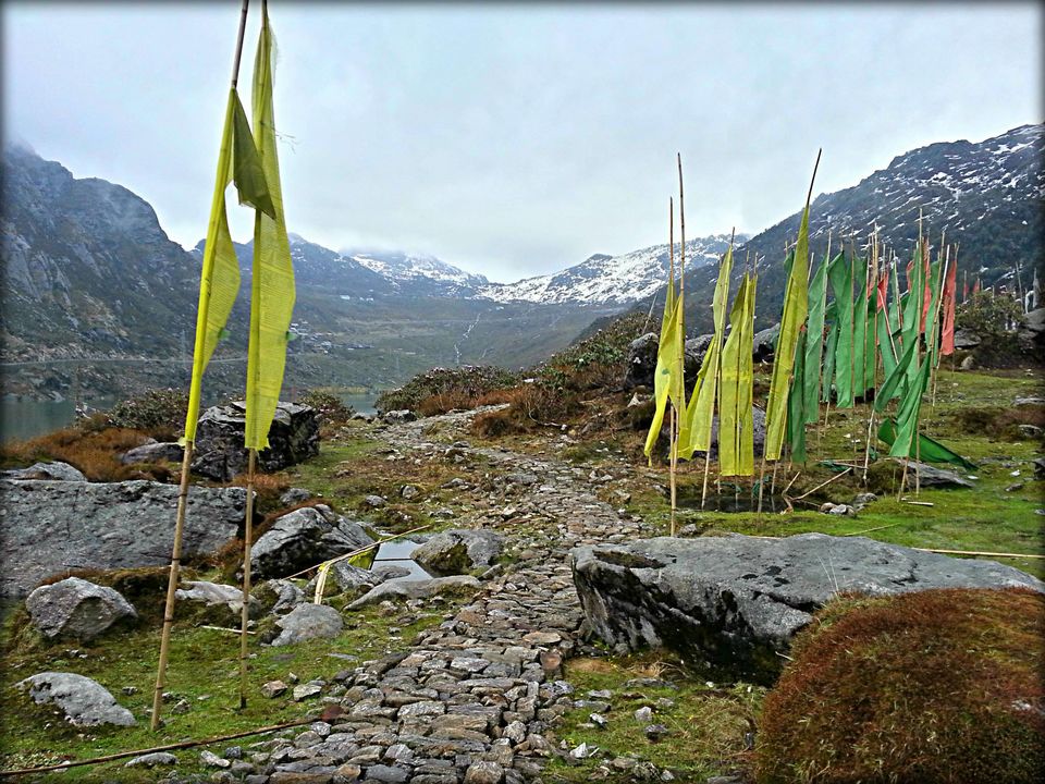 Photo of North-East Dairies (Part 2) by Ishaani Sharma