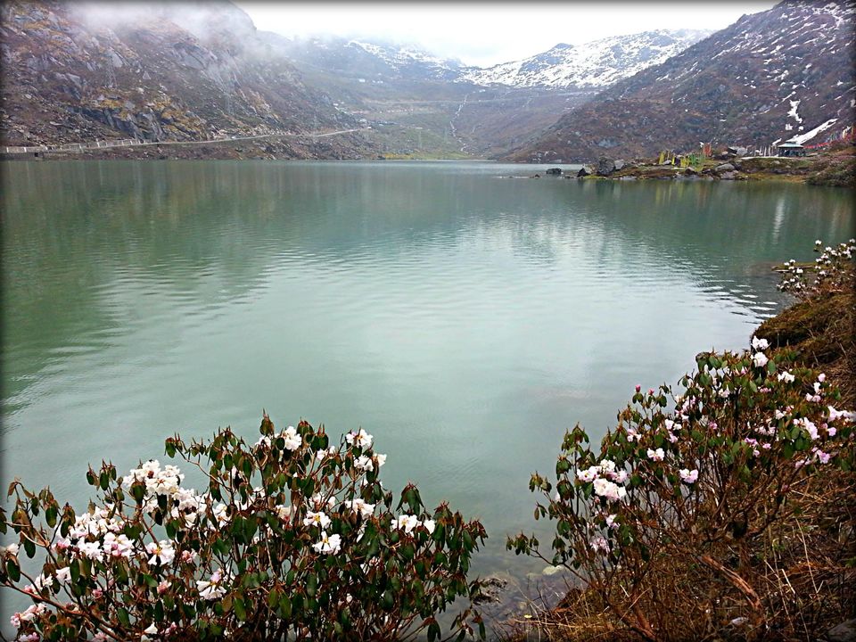 Photo of Nathula, East Sikkim, Sikkim, India by Ishaani Sharma