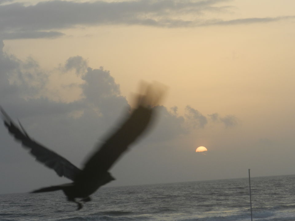 Photo of Goa- Through the Eyes of Five Girls 9/20 by Deepali Sagar