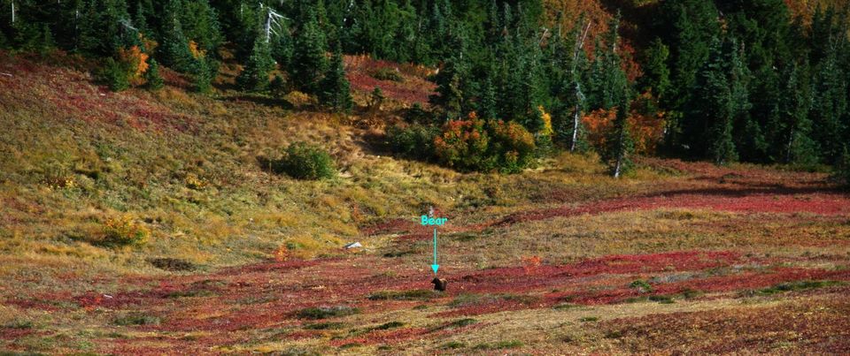 Photo of Cheam Peak – Off My Bucket List! 9/20 by Aloke Surin