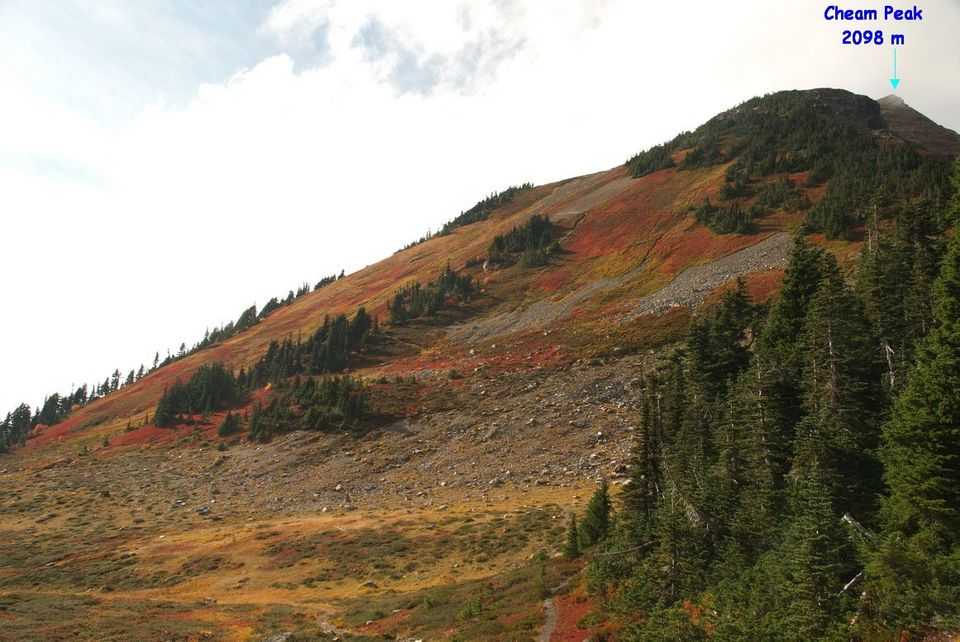 Photo of Cheam Peak – Off My Bucket List! 6/20 by Aloke Surin