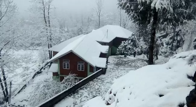 Photo of Magellan's Apple Valley Inn, Lachung, Sikkim, India by Tripoto
